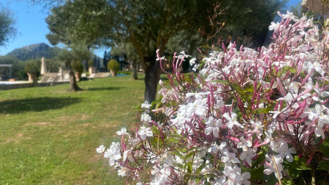 Agroturisme Son Cardaix Artá Zewnętrze zdjęcie